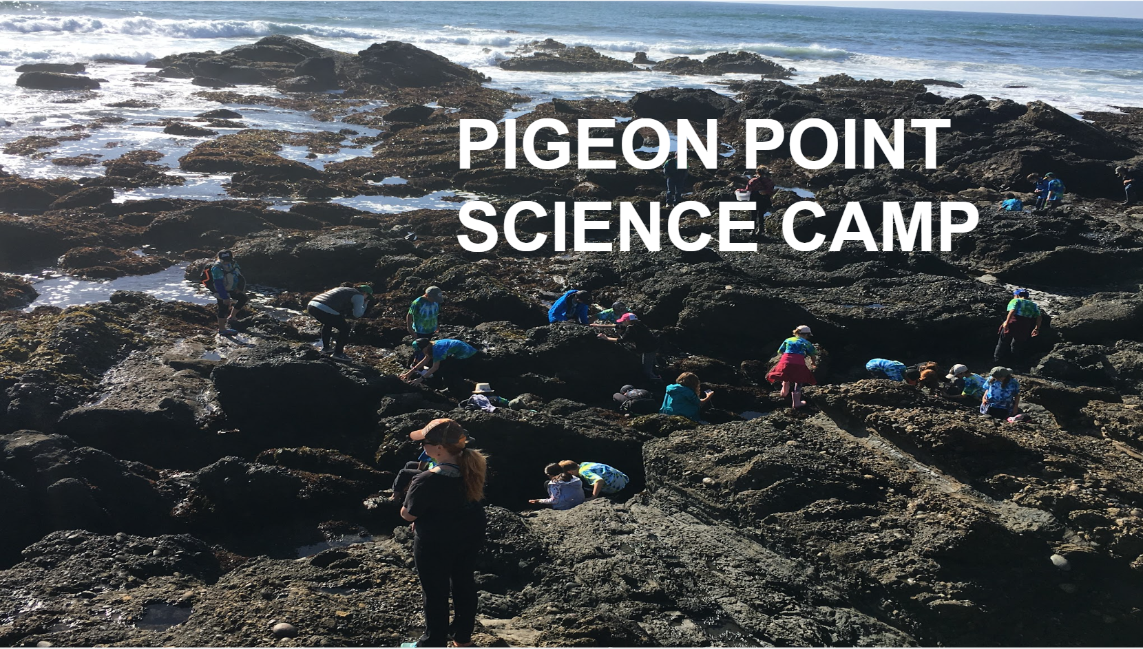 Pigeon Point